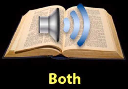 Audio Bible Both